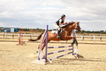 SBM_004916