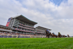250725-Race 4-Dicko The Legend-7842