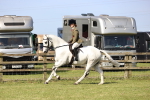 SBM_12531