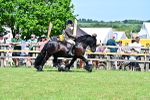 SBM_07884