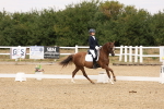 SBM_000939