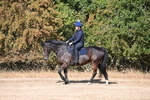 WJ6_6907