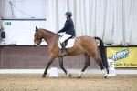 SBM_004373