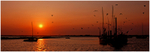 Marina Sunset
