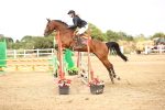 SBM_004875