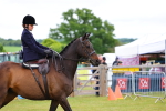 SBM_02701
