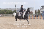 BPP_4245