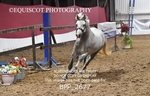 BPP_2677