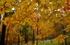 JamesGardens2310-12