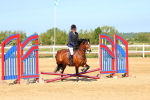 SBM_006636