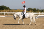 SBM_002853