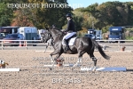 BPP_9458