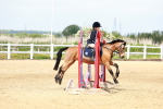 SBM_007850