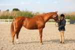 SBM_08602