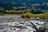3HPhotography10-6-24_RMNP_0411_