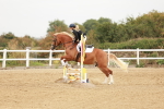 SBM_008022