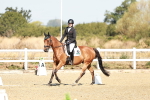 SBM_016982