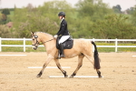 SBM_007297