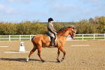 SBM_000430