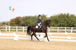 SBM_012914