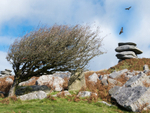 Sacred Land