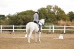 SBM_006330