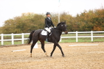 SBM_001915