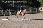 BPP_8392