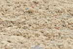 230701A-100534-04453