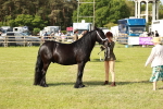 SBM_00842