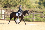 SBM_009684