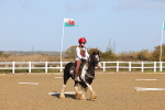 SBM_000176