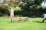 WJ6_4660