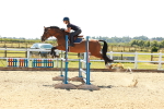 SBM_006936