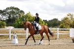 SBM_003635