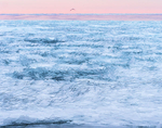 ICE PLATES #2, 2018 - PORT DOVER