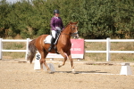 SBM_014753