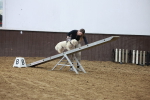 SBM_006086