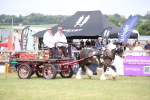 SBM_06982