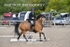 BPP_5705