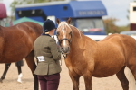 SBM_05009