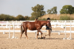 SBM_08128