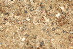 SBM_001873