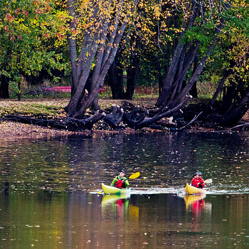 A Kayak along the Kennebecasis and through prime autumn foliage.