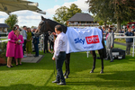 240824-Race 5-Elmonjed-1596