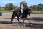 BPP_8223