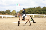 SBM_009904
