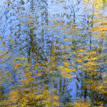 Fragmented