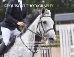 BPP_3118