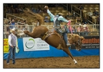 Saddle Bronc 6
